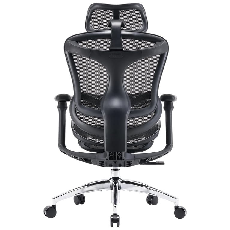 Офісне крісло Sihoo DORO C300L Mesh Black (DORO-C300L-A3-101) - фото 3