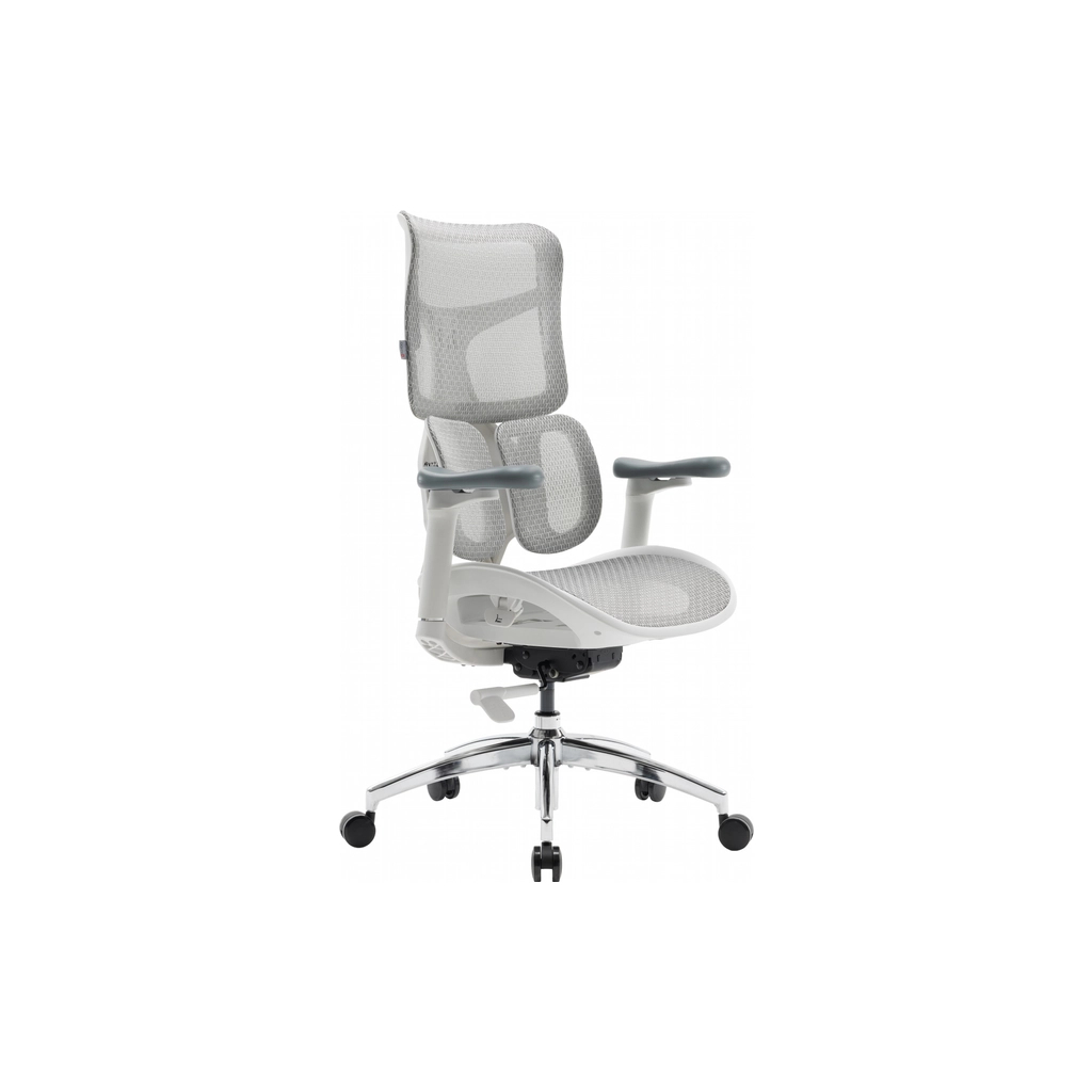 Офісне крісло Sihoo DORO S100 Mesh White (S100-M302)