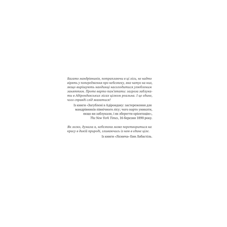 Книга Лісовий бог - Ліз Мур Vivat (9786171713567) - фото 7