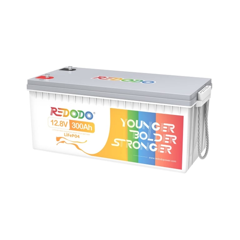 Батарея LiFePo4 Redodo 12.8V 300Ah , 3840Wh (Redodo-12.8V300) - фото 3