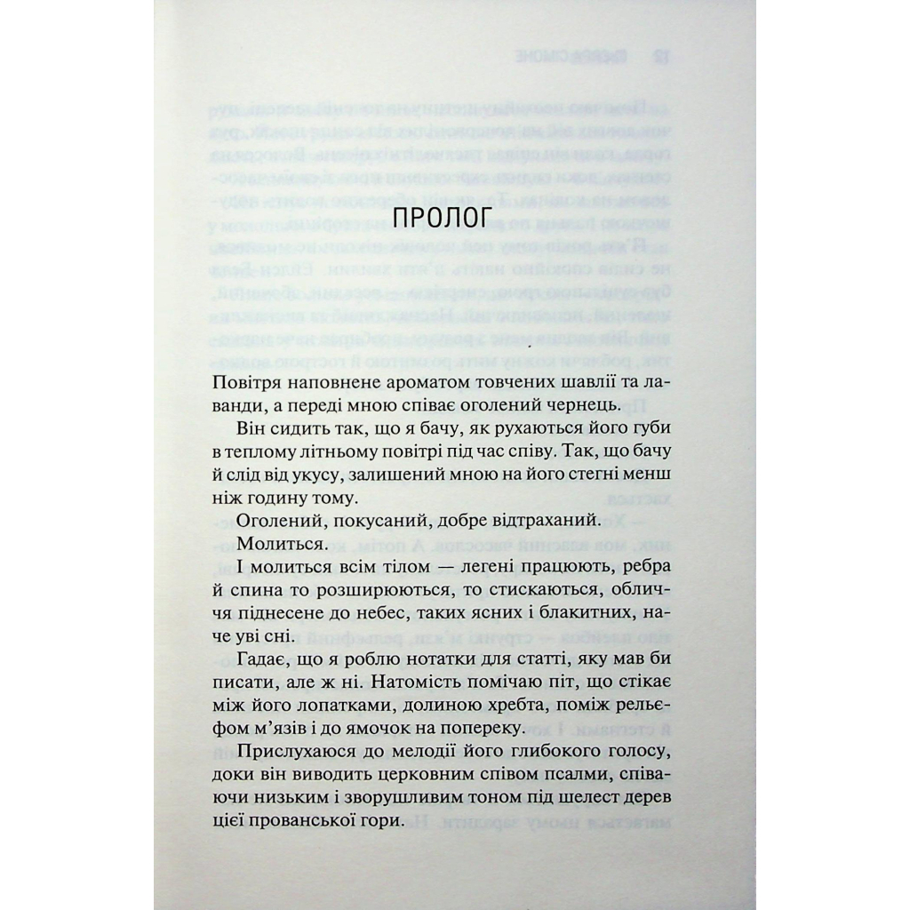 Книга Святий. Книга 3 - Сьєрра Сімоне КСД (9786171514454) - фото 7 Книга Святий. Книга 3 - Сьєрра Сімоне КСД (9786171514454) - фото 7