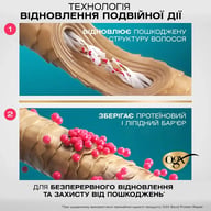 Шампунь OGX Bond Protein Repair Відновлювальний з протеїнами 385 мл (3574661818450) - фото 5