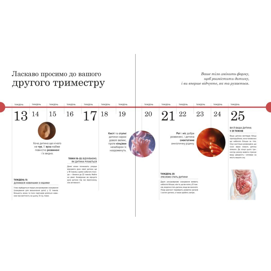 Книга Практична психологія. Вагітність день за днем - Меґґі Блотт Ранок (9786170991058) - фото 9 Книга Практична психологія. Вагітність день за днем - Меґґі Блотт Ранок (9786170991058) - фото 9