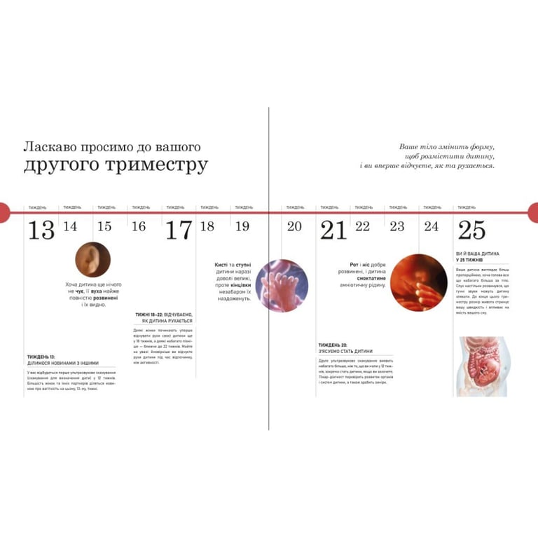 Книга Практична психологія. Вагітність день за днем - Меґґі Блотт Ранок (9786170991058) - фото 9
