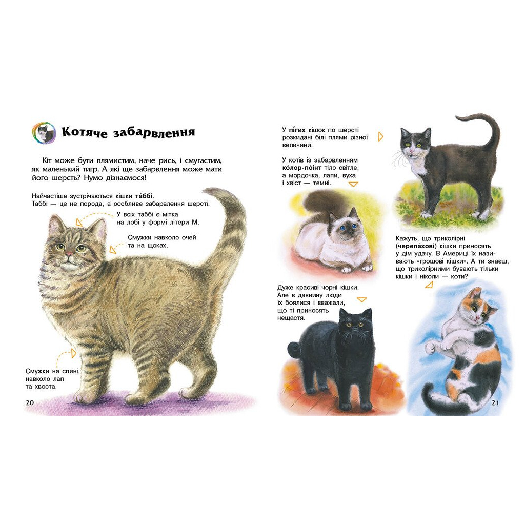 Книга Енциклопедія дошкільника. Коти - Юлія Каспарова Ранок (9786170992741) - фото 4 Книга Енциклопедія дошкільника. Коти - Юлія Каспарова Ранок (9786170992741) - фото 4