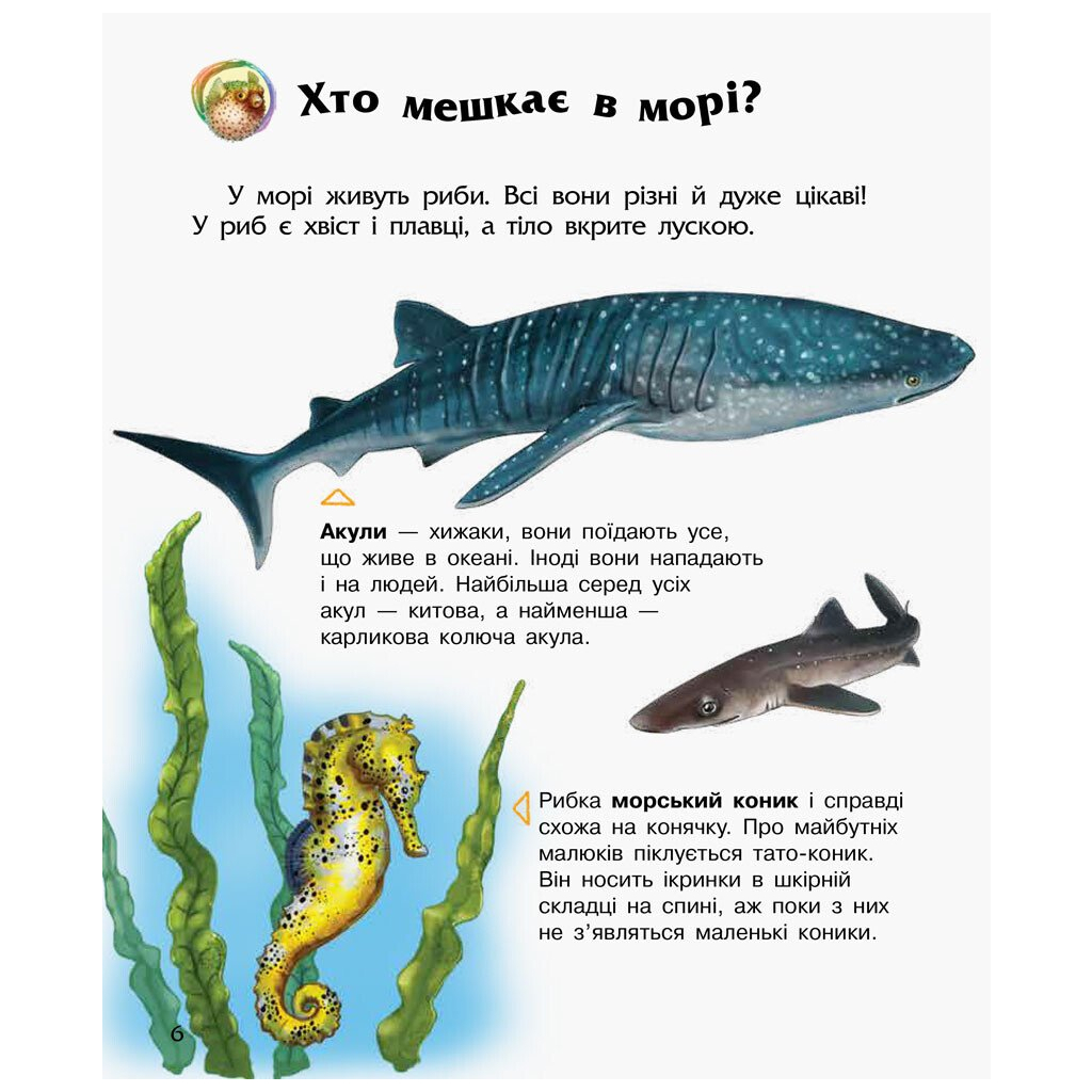 Книга Океани та моря. Енциклопедія дошкільника - Юлія Каспарова Ранок (9786170993489) - фото 6 Книга Океани та моря. Енциклопедія дошкільника - Юлія Каспарова Ранок (9786170993489) - фото 6