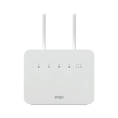 Маршрутизатор Ergo R291 - фото 1