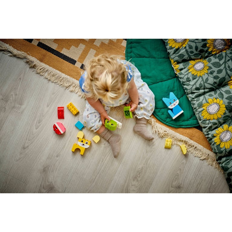 Конструктор LEGO DUPLO My First Чарівні творчі домашні улюбленці 3 в 1 (10477-) - фото 10