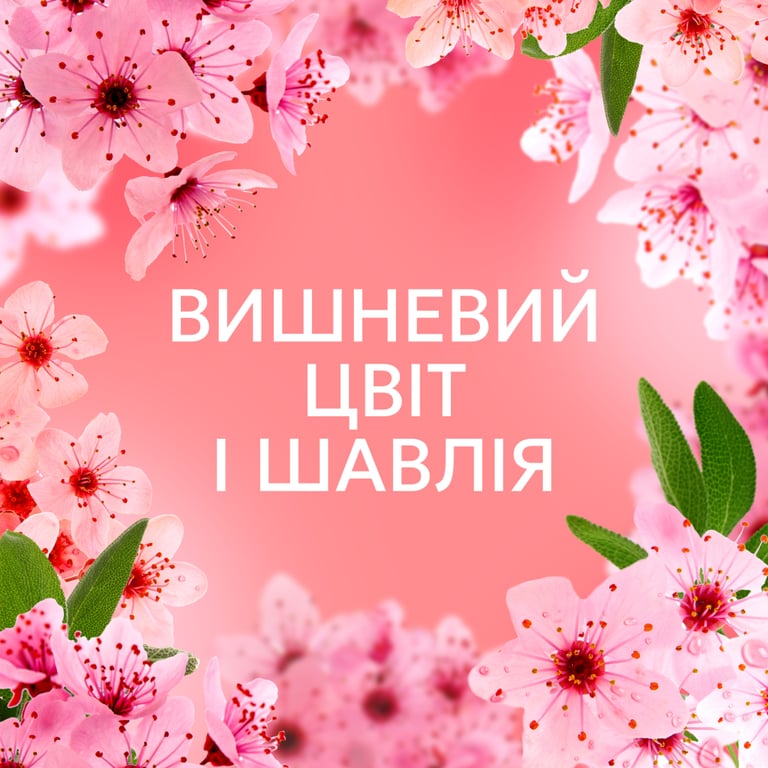 Кондиціонер для білизни Lenor Вишневий цвіт та шавлія 987 мл (8700216724197) - фото 6
