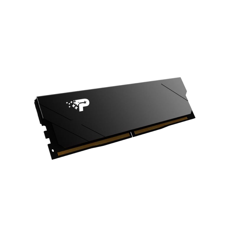 Модуль пам'яті для комп'ютера DDR5 16GB 5200 MHz Signature Line Premium Patriot (PSP516G520081H1) - фото 2