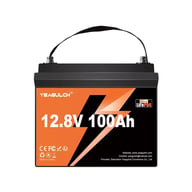 Батарея LiFePo4 YEAGULCH 12.8V 100Ah Mini Max (YEAGULCH-12,8V/100Ah Max) - фото 1