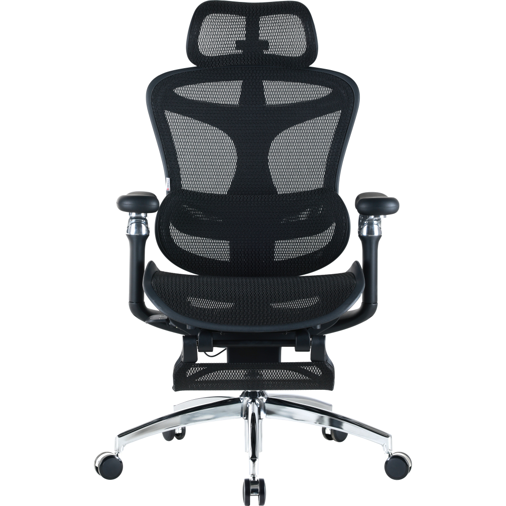 Офісне крісло Sihoo Крісло офісне з підставкою для ніг Sihoo DORO C300 Pro Mesh Black with (DORO-C300-PRO-M101-JT) - фото 1