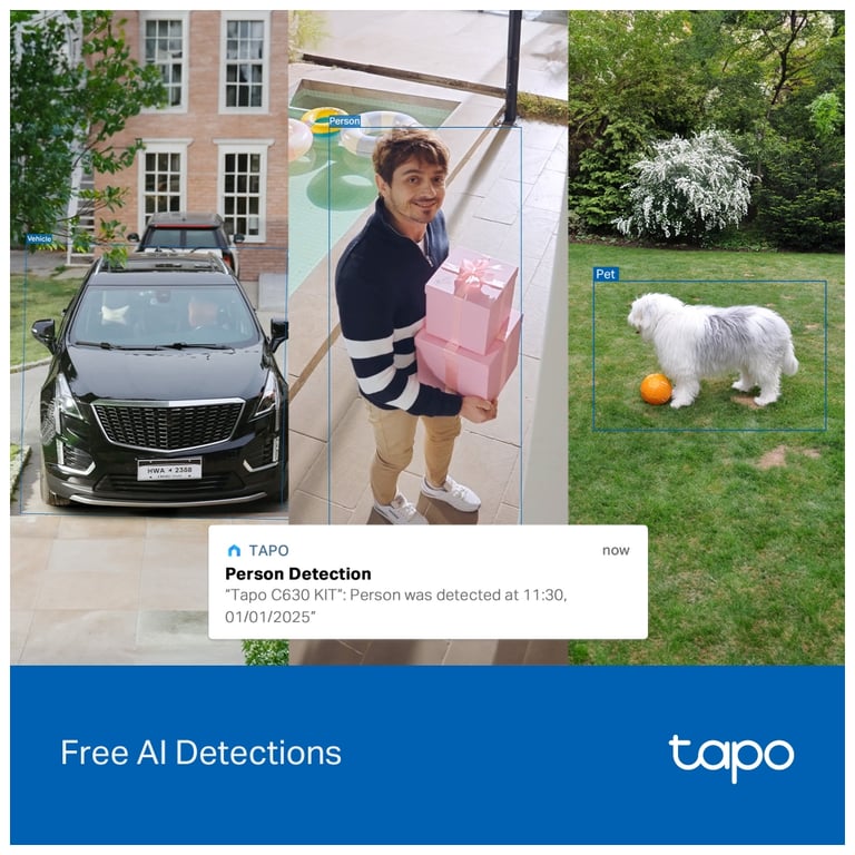 Камера відеоспостереження TP-Link TAPO-C630-KIT - фото 10