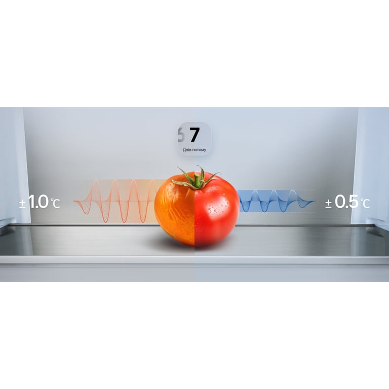 Холодильник LG GC-B509EETM - фото 6