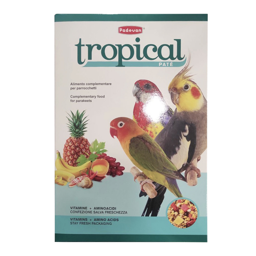 Корм для птахів Padovan Tropical pâtée для середніх папуг (нерозлучників, корелл, розел) 700 г (8001254000909) - фото 1