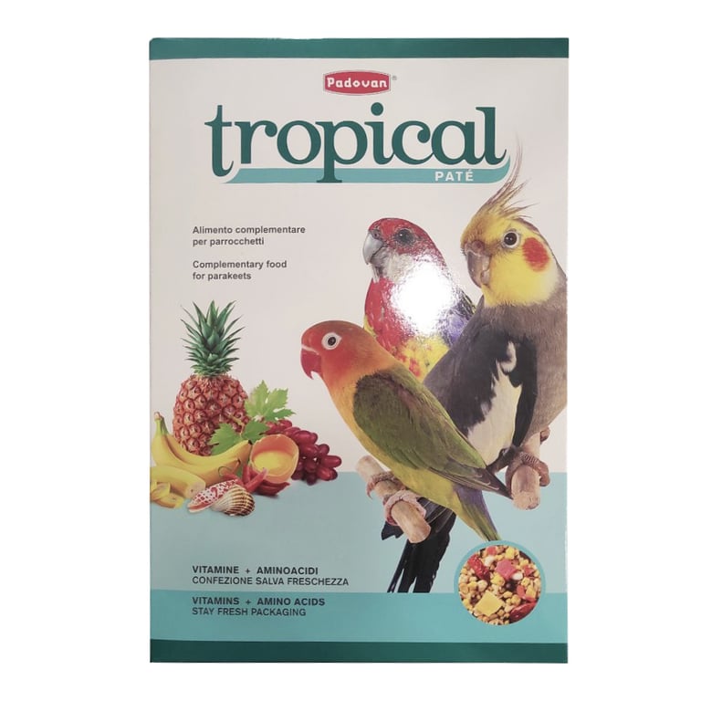 Корм для птахів Padovan Tropical pâtée для середніх папуг (нерозлучників, корелл, розел) 700 г (8001254000909)