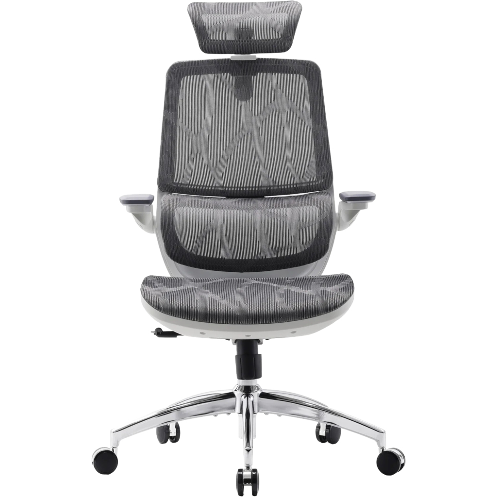 Офісне крісло Sihoo M59AS Mesh Gray (M59AS-M301) - фото 1