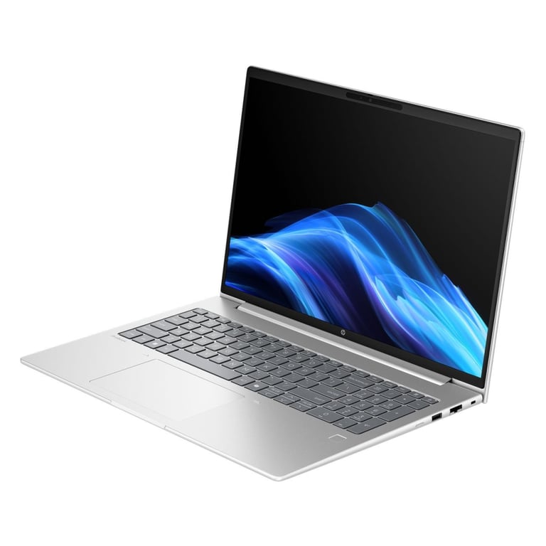 Ноутбук HP ProBook 4 G1a (D4VG3ET) - фото 3