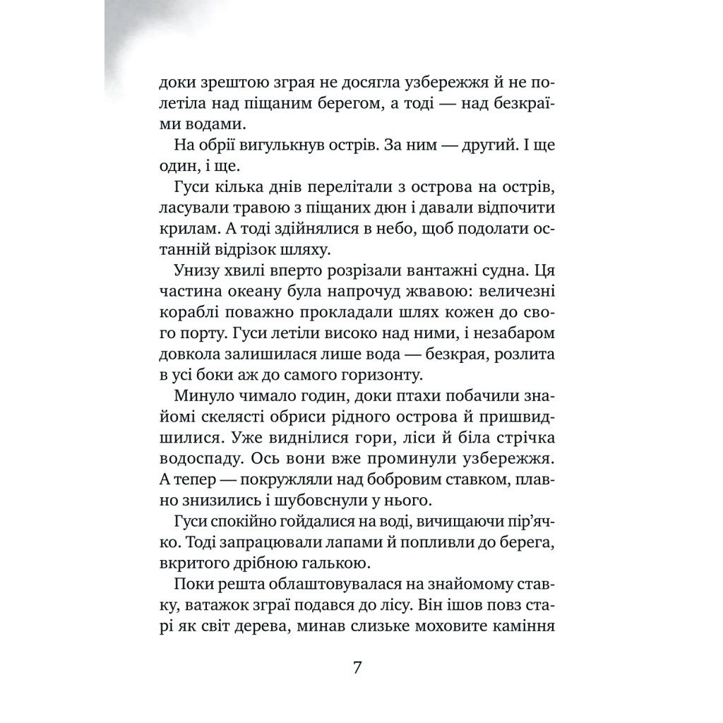 Книга Дикий робот рятує (Дикий робот #3) - Пітер Браун Vivat (9786171714113) - фото 4 Книга Дикий робот рятує (Дикий робот #3) - Пітер Браун Vivat (9786171714113) - фото 4