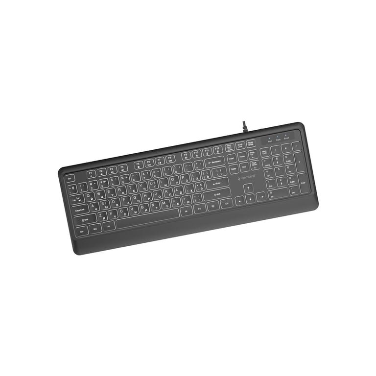 Клавіатура Gembird Slim Multimedia White Backlight USB Black (KB-UML-04-CYRL) - фото 2