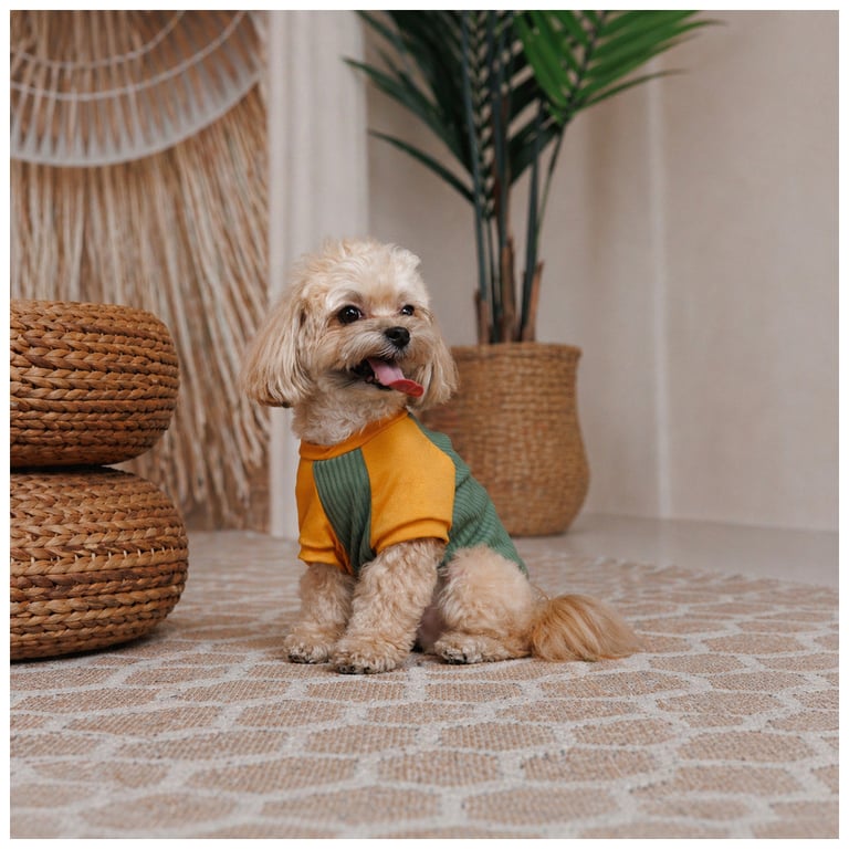 Футболка для тварин Pet Fashion Kent XS2 (4823082446162) - фото 3