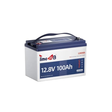 Батарея LiFePo4 Timeusb 12.8V 100Ah Low-Temp 1280Wh BMS 100A (T12V100-100-TM-4-A100) - фото 1