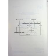 Книга Анафема. Книга 1 - Кері Лейк КСД (9786171518926) - фото 5