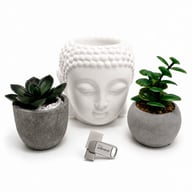 USB флеш накопичувач Wibrand 64GB Bee Silver USB 3.2/Type-C (WI3.2TC/BE64TC039S) - фото 5