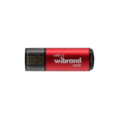 USB флеш накопичувач Wibrand 16GB Ladybug Red USB 3.2 (WI3.2/LB16P10S) - фото 1