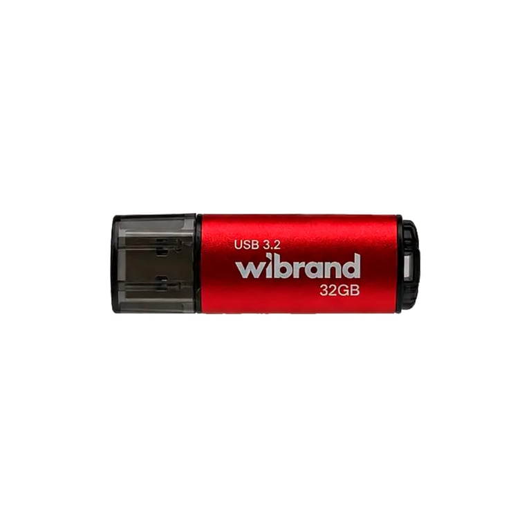 USB флеш накопичувач Wibrand 32GB Ladybug Red USB 3.2 (WI3.2/LB32P10S) - фото 1
