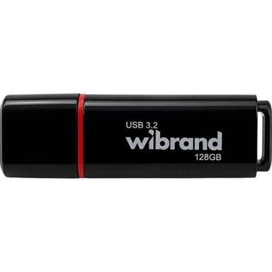 USB флеш накопичувач Wibrand 128GB Scarab Black USB 3.2 (WI3.2/SC128P11B) - фото 1