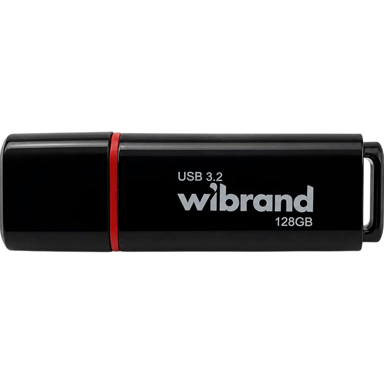 USB флеш накопичувач Wibrand 128GB Scarab Black USB 3.2 (WI3.2/SC128P11B) - фото 1