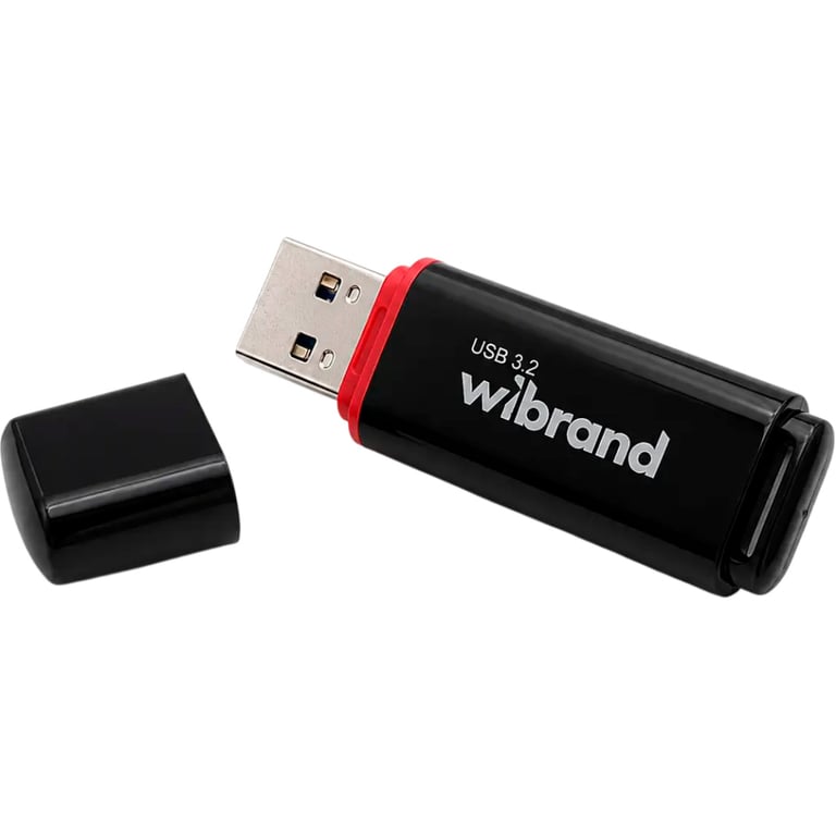 USB флеш накопичувач Wibrand 128GB Scarab Black USB 3.2 (WI3.2/SC128P11B) - фото 2