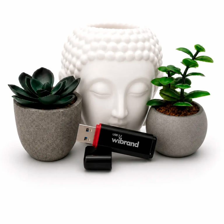 USB флеш накопичувач Wibrand 128GB Scarab Black USB 3.2 (WI3.2/SC128P11B) - фото 5