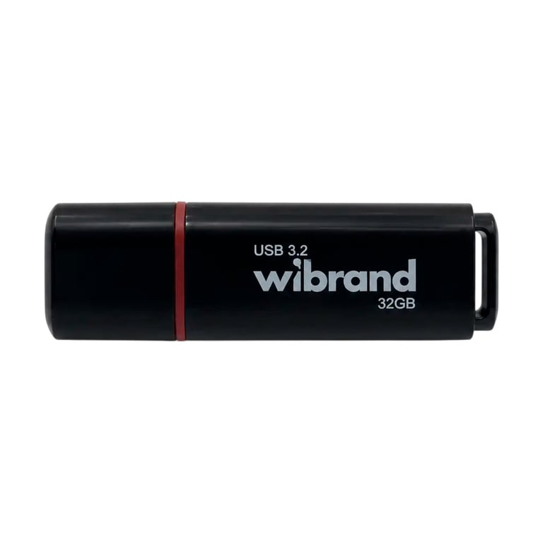 USB флеш накопичувач Wibrand 32GB Scarab Black USB 3.2 (WI3.2/SC32P11B) - фото 1