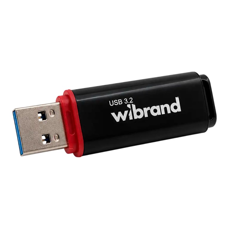 USB флеш накопичувач Wibrand 32GB Scarab Black USB 3.2 (WI3.2/SC32P11B) - фото 3