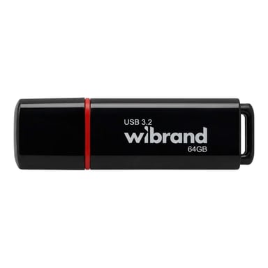 USB флеш накопичувач Wibrand 64GB Scarab Black USB 3.2 (WI3.2/SC64P11B) - фото 1
