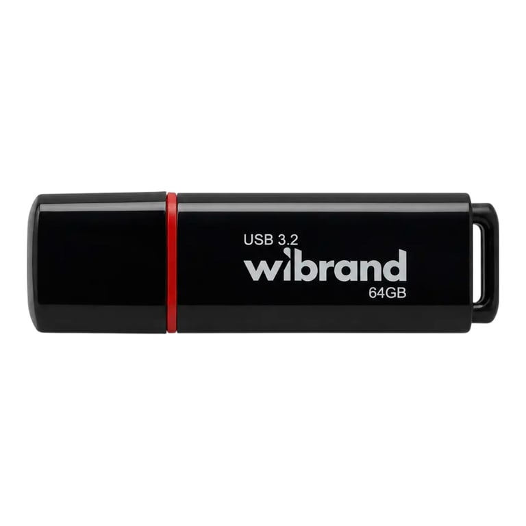 USB флеш накопичувач Wibrand 64GB Scarab Black USB 3.2 (WI3.2/SC64P11B) - фото 1