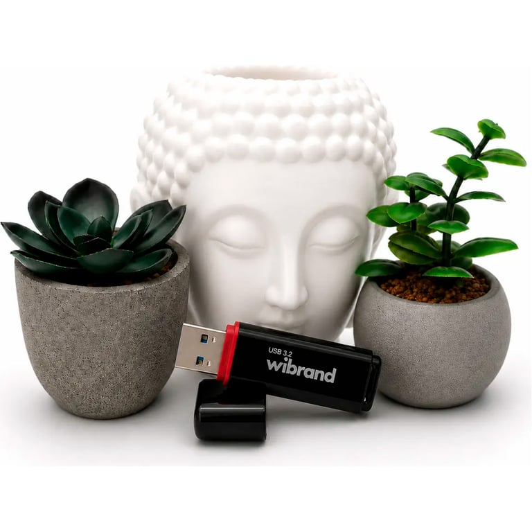 USB флеш накопичувач Wibrand 64GB Scarab Black USB 3.2 (WI3.2/SC64P11B) - фото 4