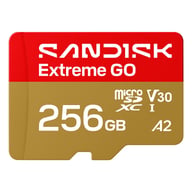 Карта пам'яті SanDisk 256GB microSDXC class 10 UHS-I Extreme GO (SDSQXGN-256G-GN6MN) - фото 1